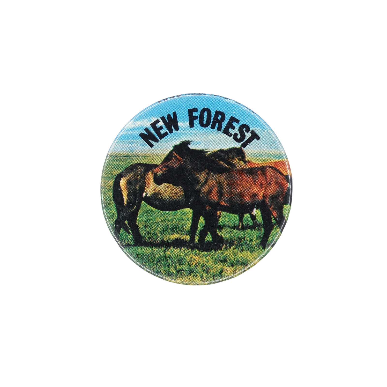 NEW FOREST ニューフォレスト 缶バッジ バッチ ポニー